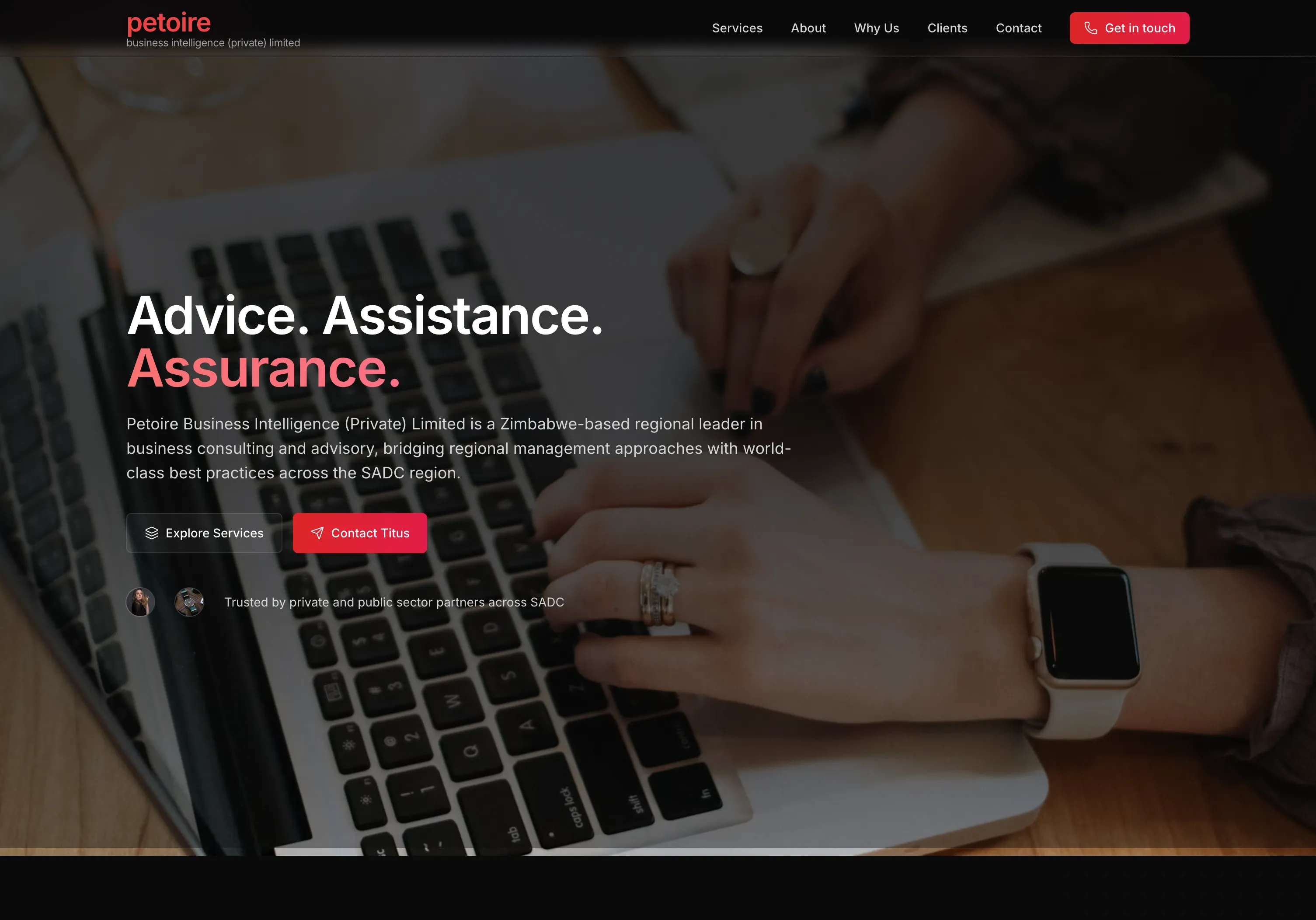 Petoire Business Intelligence: Home